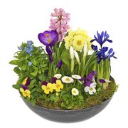 Wiosenne kompozycje pocztą - kwiatowa dostawa